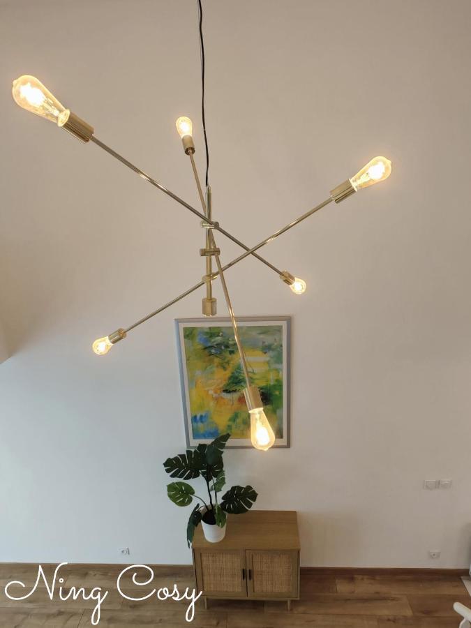 Superbe Cosy Duplex Appartement T3 Charpenne Tete D'Or Avec Parking Prive Gratuit Villeurbanne Dış mekan fotoğraf