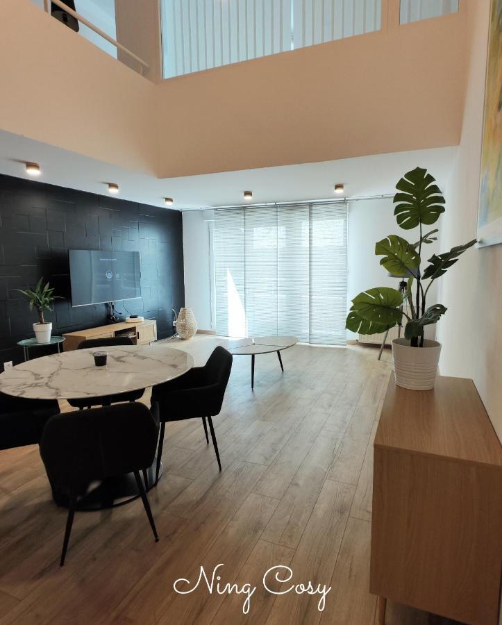 Superbe Cosy Duplex Appartement T3 Charpenne Tete D'Or Avec Parking Prive Gratuit Villeurbanne Dış mekan fotoğraf